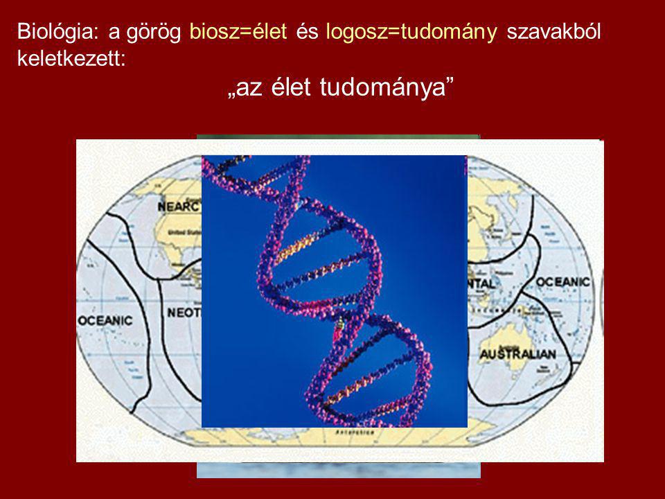 Biológia: a görög biosz=élet és logosz=tudomány szavakból keletkezett: