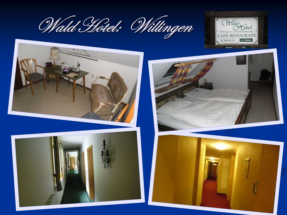 Wald Hotel: Willingen