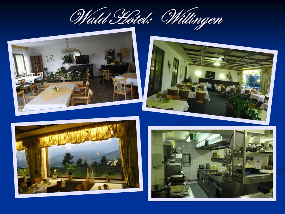 Wald Hotel: Willingen