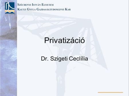 Privatizáció Dr. Szigeti Ceclília. Privatizáció „Sok fejlődő és fejlett országban az állam a kelleténél jóval több energiát fordít olyan dolgokra, amelyekkel.