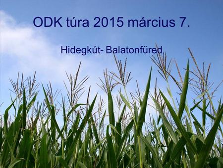 Hidegkút- Balatonfüred