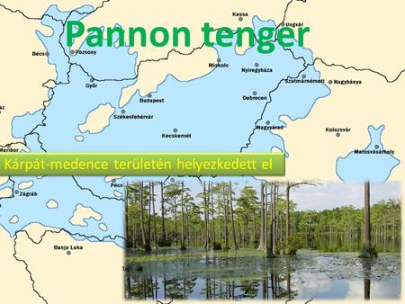 Pannon tenger A Kárpát-medence területén helyezkedett el.