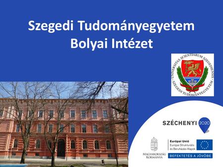 Szegedi Tudományegyetem Bolyai Intézet
