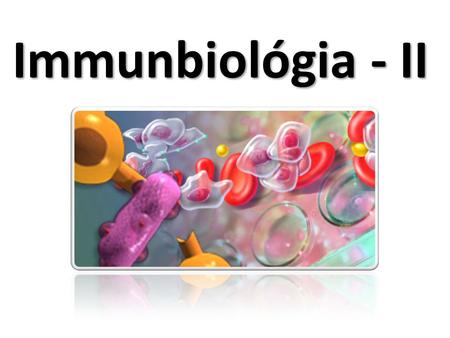 Immunbiológia - II. A T sejt receptor (TCR) heterodimer CITOSZÓL EXTRACELLULÁRIS TÉR SEJTMEMBRÁN kötőhely  lánc  lánc VV VV CC CC VV VV