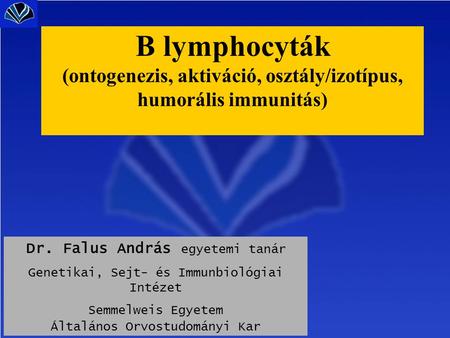 Dr. Falus András egyetemi tanár Genetikai, Sejt- és Immunbiológiai Intézet Semmelweis Egyetem Általános Orvostudományi Kar B lymphocyták (ontogenezis,