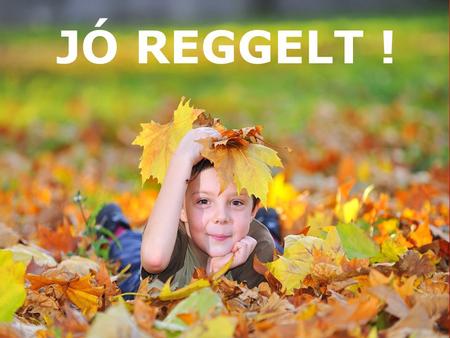 JÓ REGGELT !.