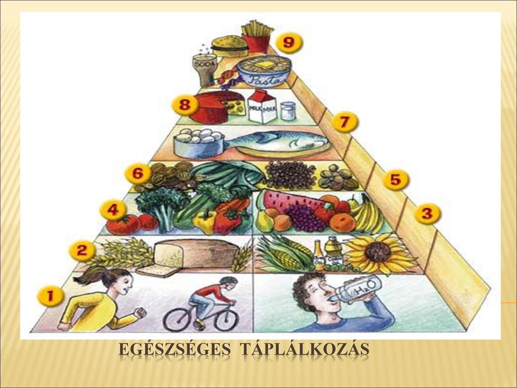 herminapanzio.hu - 10 élelmiszertípus, ami alapvető az egészséghez