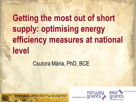 Getting the most out of short supply: optimising energy efficiency measures at national level Csutora Mária, PhD, BCE.