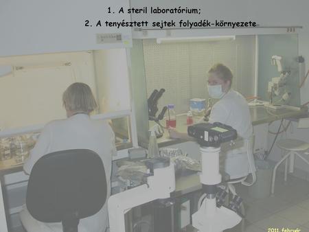 1. A steril laboratórium; 2. A tenyésztett sejtek folyadék-környezete 2011. február.