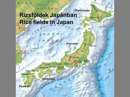 Rizsföldek Japánban Rice fields in Japan