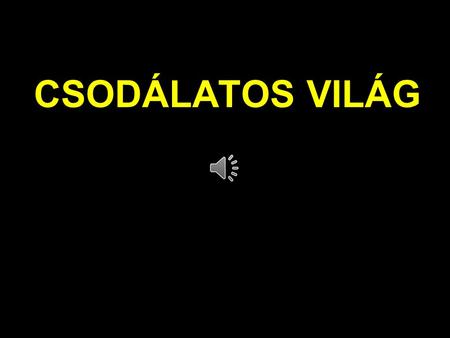 CSODÁLATOS VILÁG.