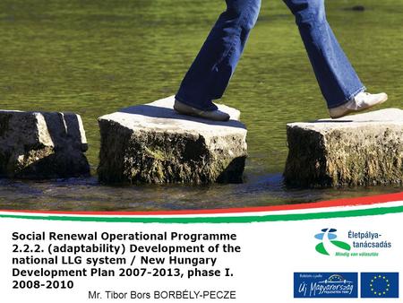 Social Renewal Operational Programme 2.2.2. (adaptability) Development of the national LLG system / New Hungary Development Plan 2007-2013, phase I. 2008-2010.