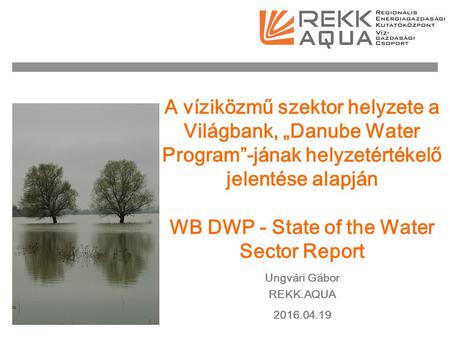 A víziközmű szektor helyzete a Világbank, „Danube Water Program”-jának helyzetértékelő jelentése alapján WB DWP - State of the Water Sector Report Ungvári.