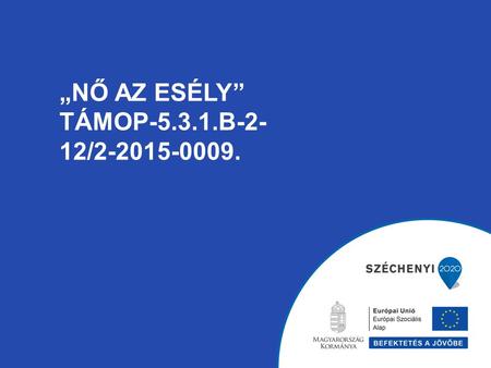 „NŐ AZ ESÉLY” TÁMOP-5.3.1.B-2- 12/2-2015-0009.. -A romák munkaerő-piaci reintegrációjának elősegítése, -A TÁMOP-5.3.1-B-1-11/1kiemelt projektre épül,