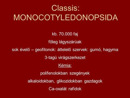 Classis: MONOCOTYLEDONOPSIDA kb. 70.000 faj főleg lágyszárúak sok évelő – geofitonok: áttelelő szervek: gumó, hagyma 3-tagú virágszerkezet Kémia: polifenolokban.