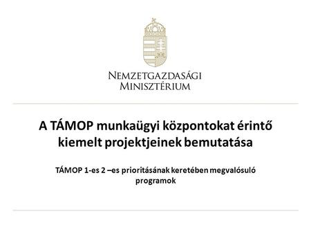 A TÁMOP munkaügyi központokat érintő kiemelt projektjeinek bemutatása TÁMOP 1-es 2 –es prioritásának keretében megvalósuló programok.