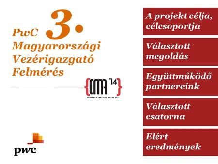 Választott megoldás Együttműködő partnereink Választott csatorna Elért eredmények A projekt célja, célcsoportja PwC Magyarországi Vezérigazgató Felmérés.