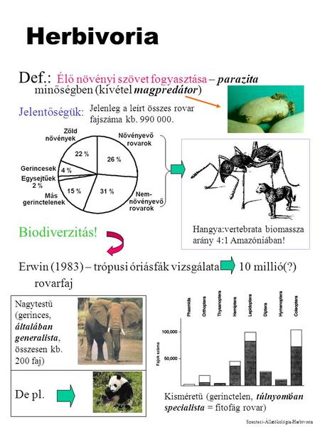 1 Herbivoria Def.: Élő növényi szövet fogyasztása – parazita minőségben (kivétel magpredátor) Jelentőségük: Erwin (1983) – trópusi óriásfák vizsgálata.