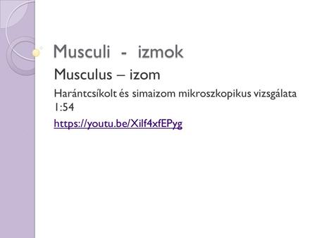 Musculi - izmok Musculus – izom Harántcsíkolt és simaizom mikroszkopikus vizsgálata 1:54 https://youtu.be/Xilf4xfEPyg.