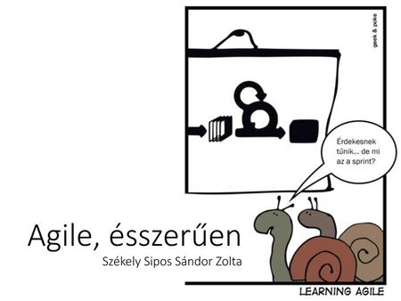 Agile, ésszerűen Székely Sipos Sándor Zolta