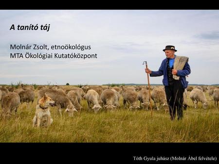 A tanító táj Molnár Zsolt, etnoökológus MTA Ökológiai Kutatóközpont
