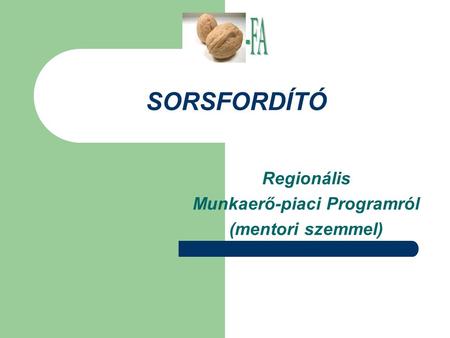 SORSFORDÍTÓ Regionális Munkaerő-piaci Programról (mentori szemmel)