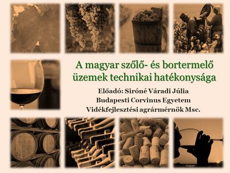 A magyar szőlő- és bortermelő üzemek technikai hatékonysága
