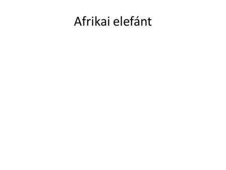 Afrikai elefánt. Előfordulása • Az afrikai elefánt korábban a Szaharától délre egész Afrikában elterjedt volt, manapság elterjedése elsősorban a nemzeti.
