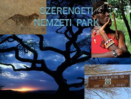 Szerengeti Nemzeti Park