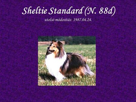 Sheltie Standard (N. 88d) utolsó módosítás: 1987.04.24.