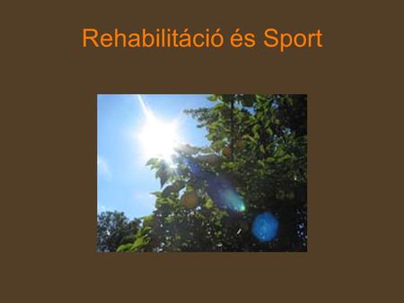 Rehabilitáció és Sport