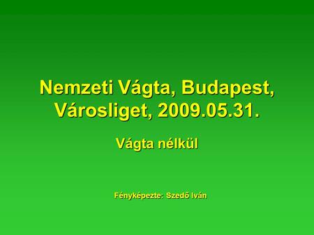 Nemzeti Vágta, Budapest, Városliget, 2009.05.31. Vágta nélkül Fényképezte: Szedő Iván.