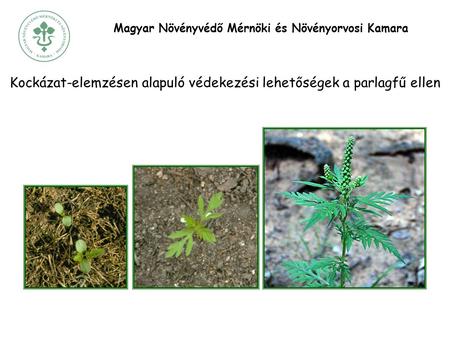 Magyar Növényvédő Mérnöki és Növényorvosi Kamara Kockázat-elemzésen alapuló védekezési lehetőségek a parlagfű ellen.