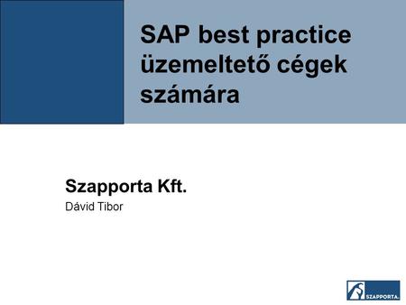 SAP best practice üzemeltető cégek számára