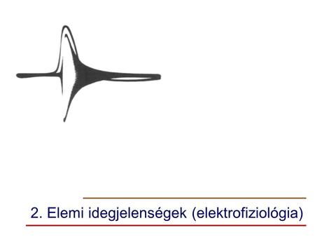 2. Elemi idegjelenségek (elektrofiziológia)