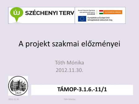 A projekt szakmai előzményei Tóth Mónika 2012.11.30. TÁMOP-3.1.6.-11/1 2012.11.30.Tóth Mónika.