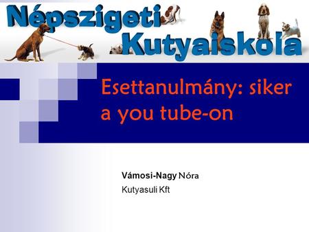Esettanulmány: siker a you tube-on