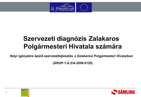 1 Szervezeti diagnózis Zalakaros Polgármesteri Hivatala számára Helyi igényekre épülő szervezetfejlesztés a Zalakarosi Polgármesteri Hivatalban (ÁROP-1.A.2/A-2008-0125)