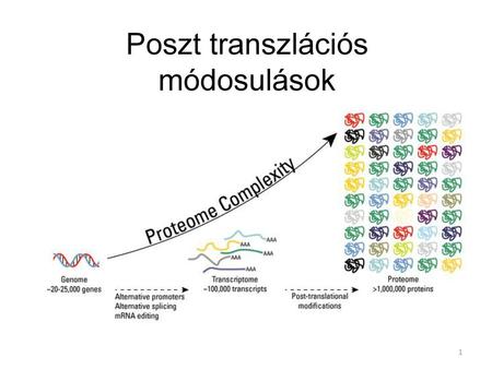 Poszt transzlációs módosulások