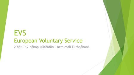 EVS European Voluntary Service