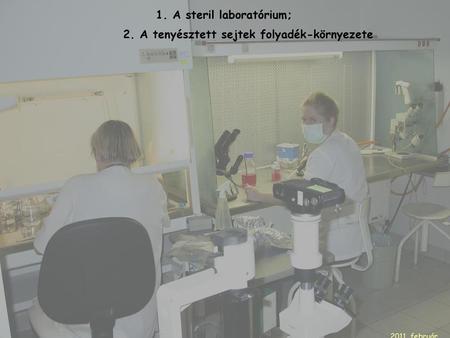 1. A steril laboratórium; 2. A tenyésztett sejtek folyadék-környezete