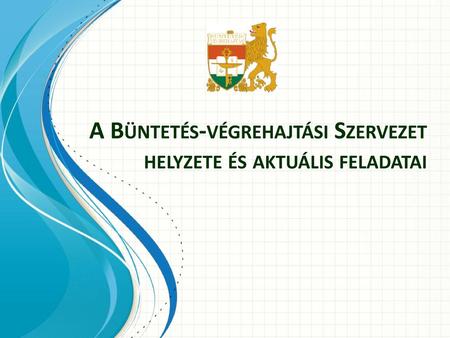 A Büntetés-végrehajtási Szervezet helyzete és aktuális feladatai