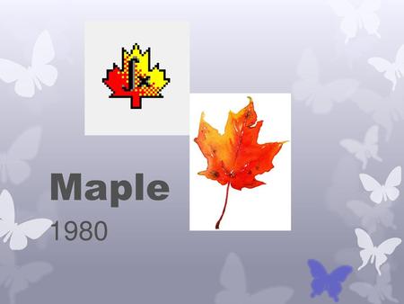 Maple 1980.