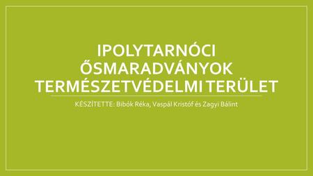 Ipolytarnóci Ősmaradványok Természetvédelmi Terület