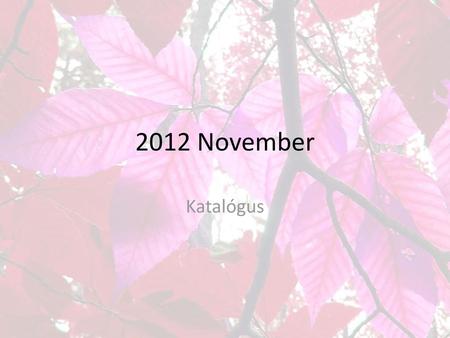 2012 November Katalógus.