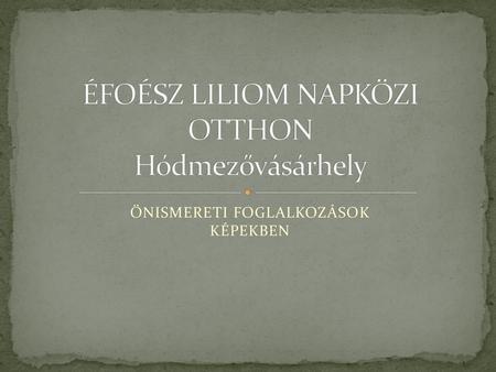 ÉFOÉSZ LILIOM NAPKÖZI OTTHON Hódmezővásárhely