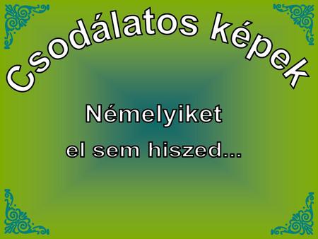 Csodálatos képek Némelyiket el sem hiszed....