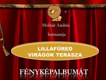 Molnár András bemutatja LILLAFÜRED VIRÁGOK TERASZA FÉNYKÉPALBUMÁT.