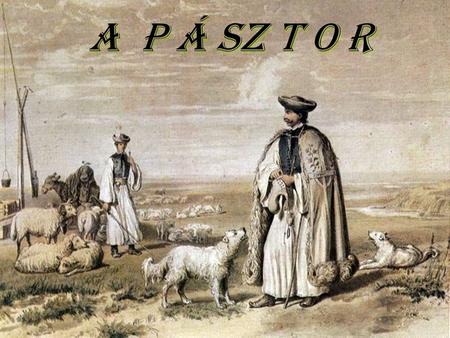 A P Á SZ T O R Volt egyszer egy pásztor, aki egy magányos helyen a juhait legeltette.