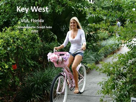 Key West USA, Florida Fényképezte: Szedő Iván 2010.